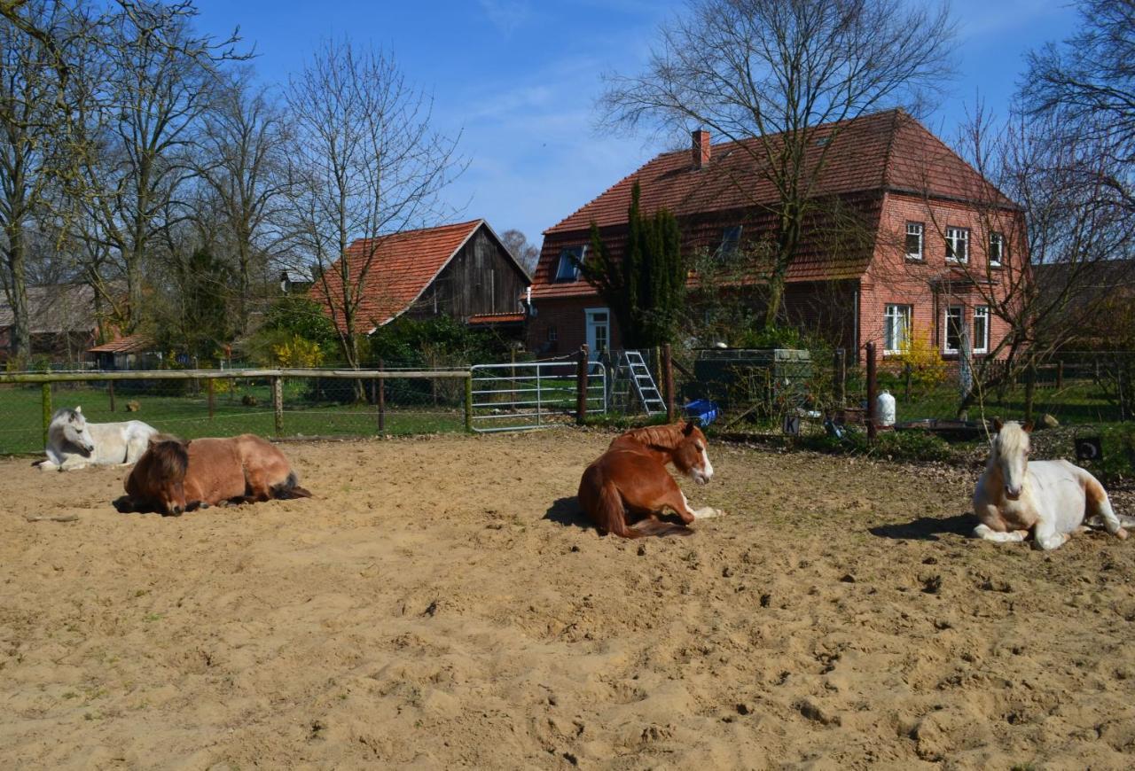 Ferienwohnung Noltenius Bulstedt Exterior foto